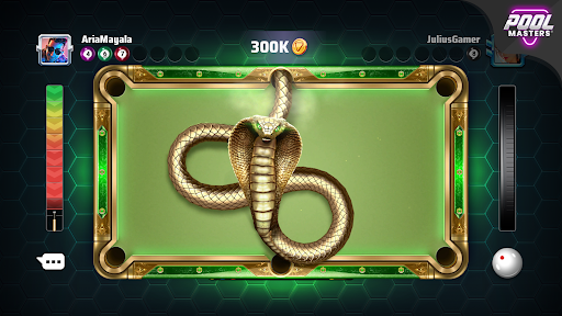 Maestros de la piscina